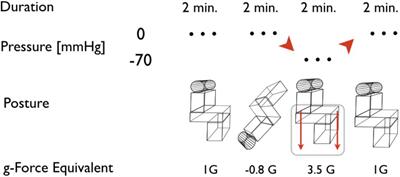 Limb Skin Temperature as a Tool to Predict Orthostatic Instability